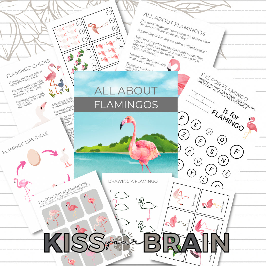 All About Flamingos Study Unit