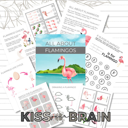 All About Flamingos Study Unit